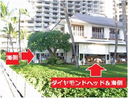 オーキッズ